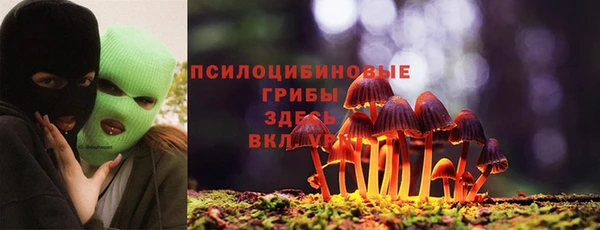 каннабис Баксан